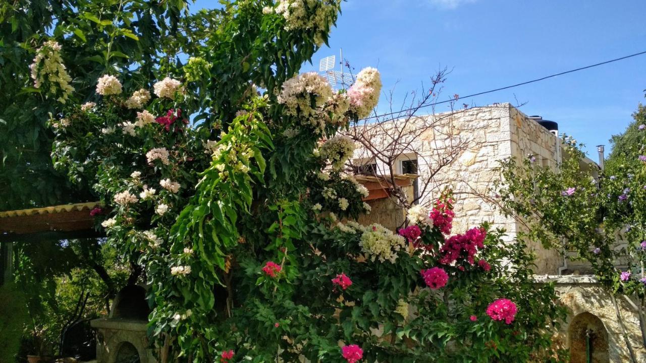Villa Vera Sívota Exteriér fotografie